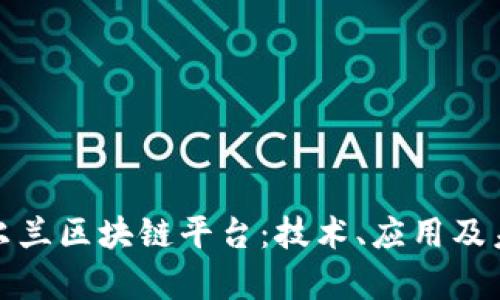 探秘爱尔兰区块链平台：技术、应用及未来前景