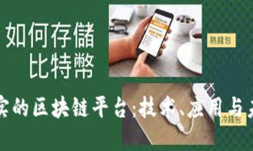 探索现实的区块链平台：技术、应用与未来展望