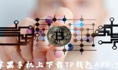 如何在苹果手机上下载TP钱包APP：完整指南