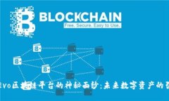 揭开Evo区块链平台的神秘面纱：未来数字资产的