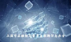 上海市区块链融资平台招聘信息大全