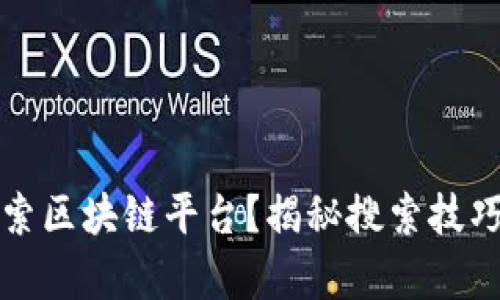 如何有效搜索区块链平台？揭秘搜索技巧与推荐网站