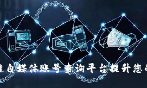 如何使用区块链自媒体账号查询平台提升您的数字资产价值