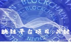 ```xml如何有效运营区块链平台项目：关键要素与