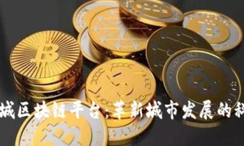 南方十城区块链平台：革新城市发展的科技力量
