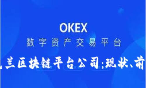 了解乌克兰区块链平台公司：现状、前景与挑战