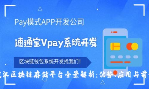 武汉区块链存储平台全景解析：优势、应用与前景